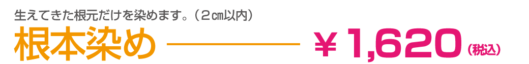 根本染め