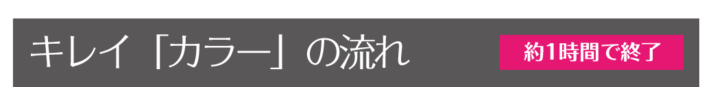 キレイ「カラー」の流れ