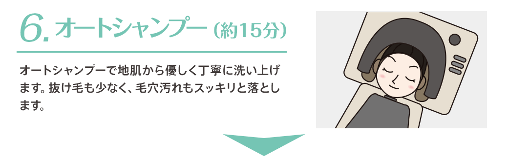 6.オートシャンプー（約15分）